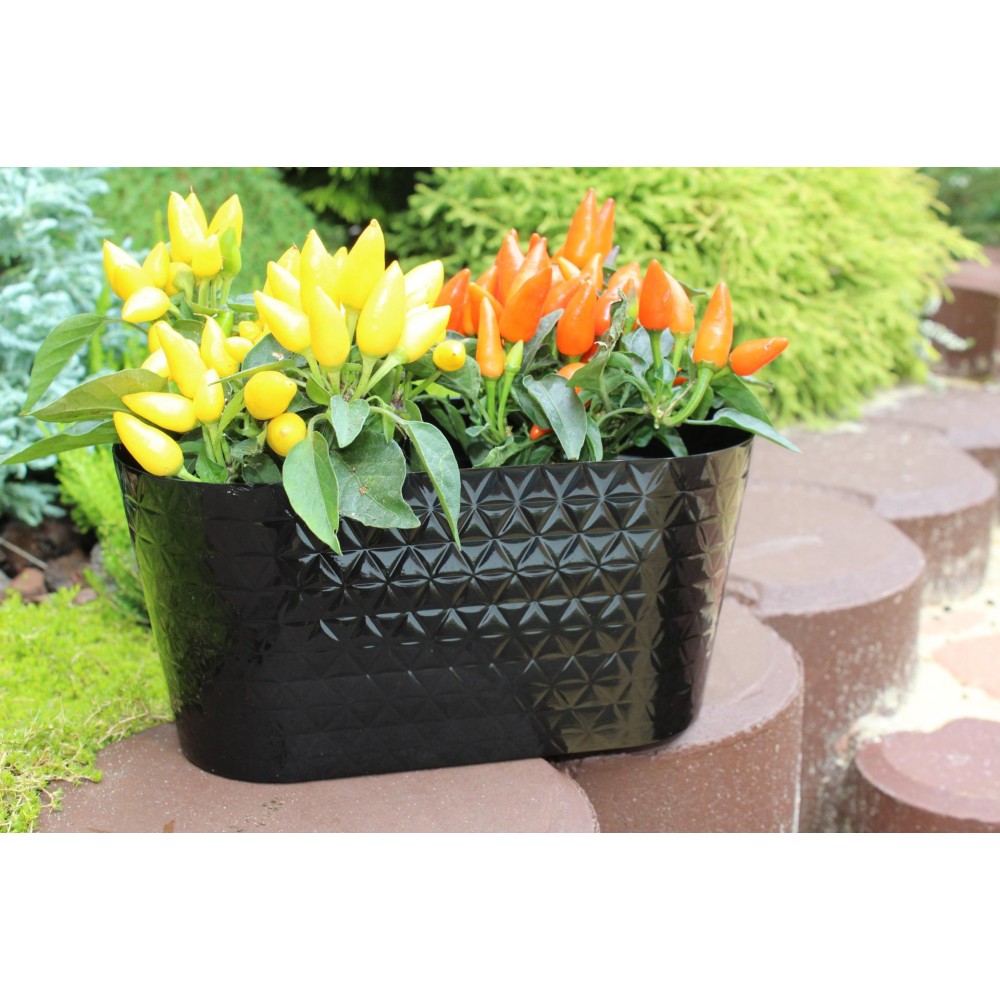 Plant Pots Oval Pearl Black